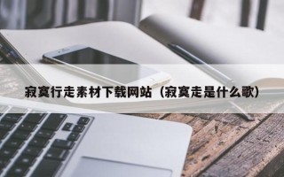 邵阳寂寞行走素材下载网站（寂寞走是什么歌）